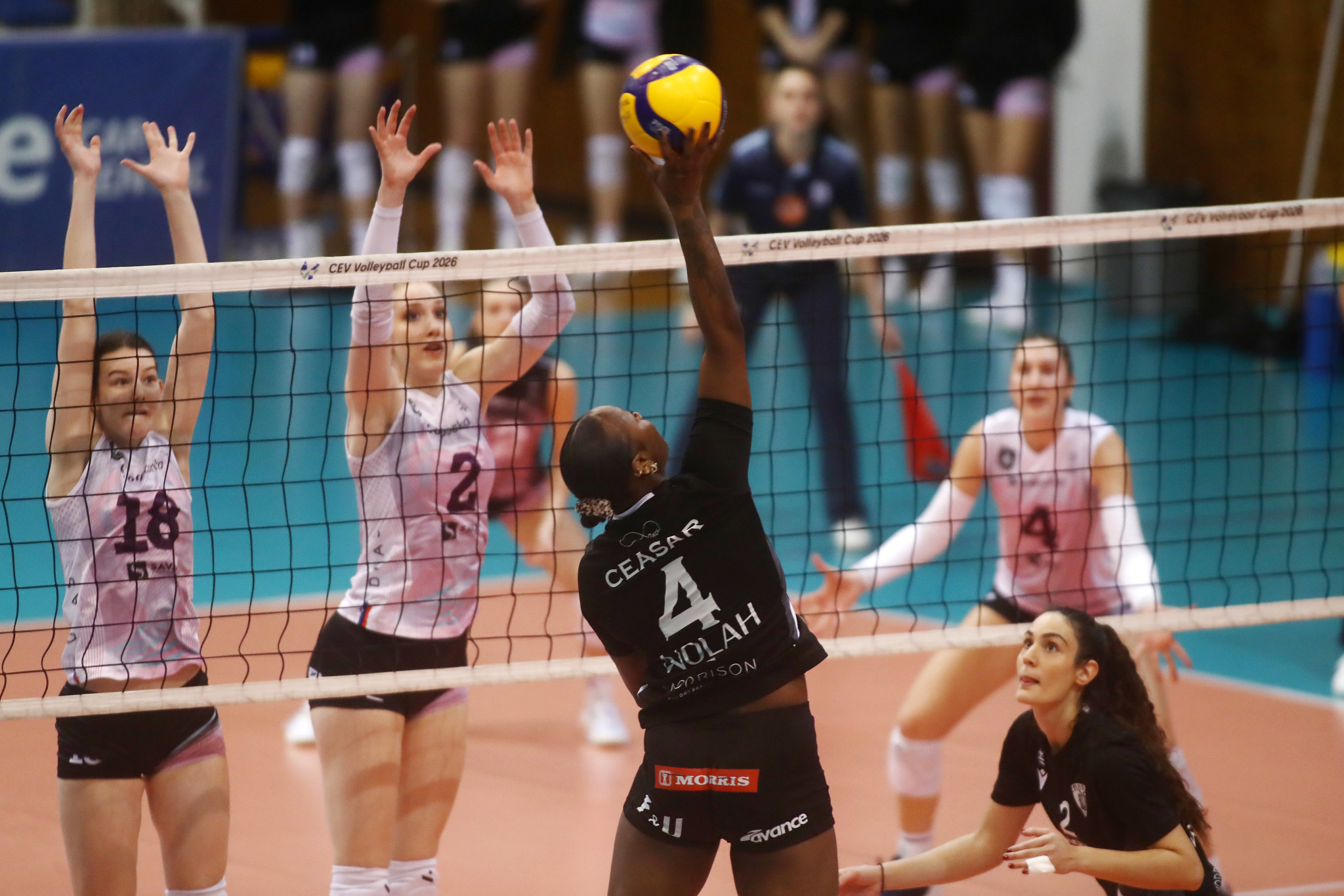 Ο ΠΑΟΚ ηττήθηκε ξανά από την Μάριμπορ και αποχαιρέτισε το CEV Cup