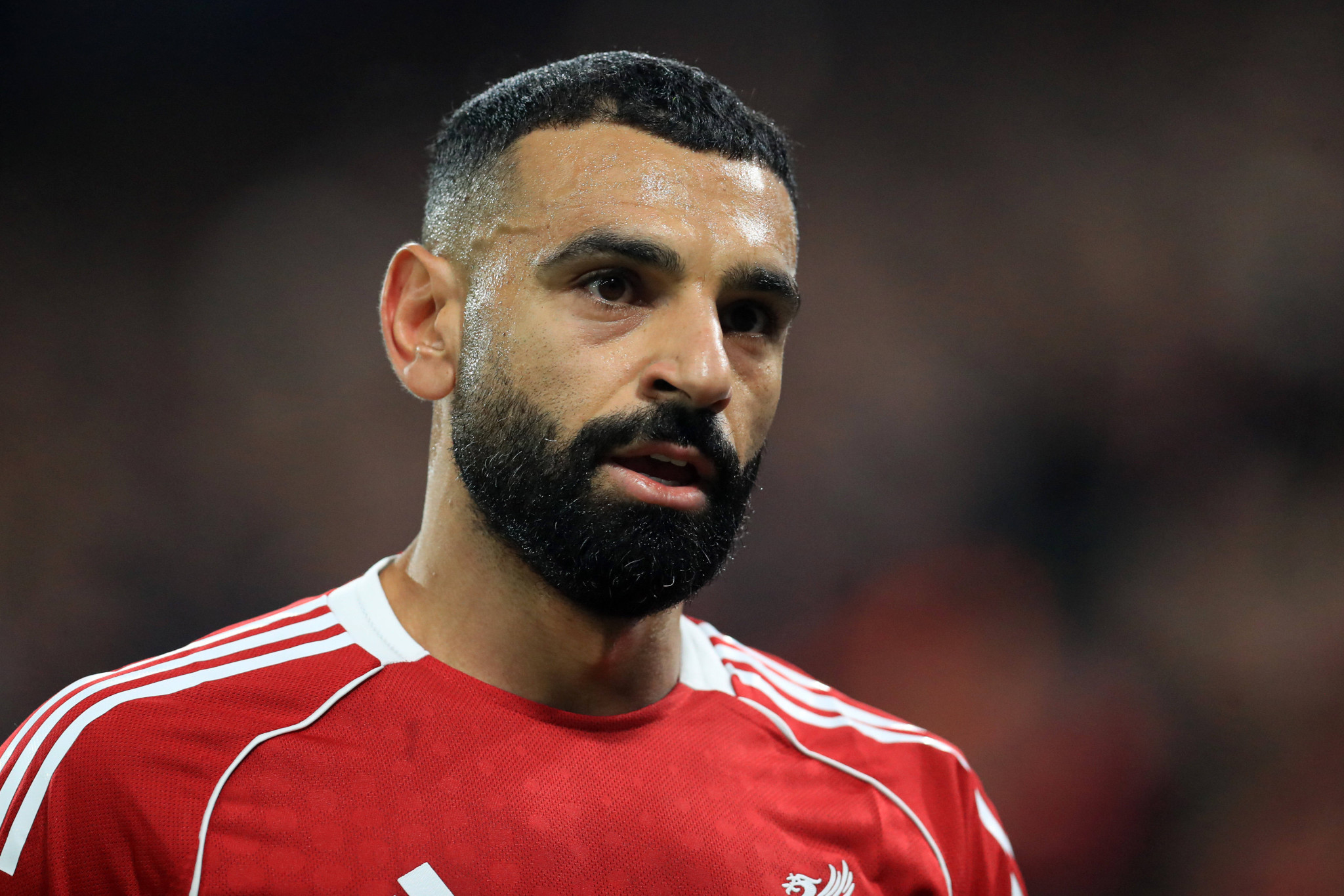 Η Λίβερπουλ χρειάζεται μία «Ενισχυμένη» αντίδραση υποδεχόμενη την Μπράιτον