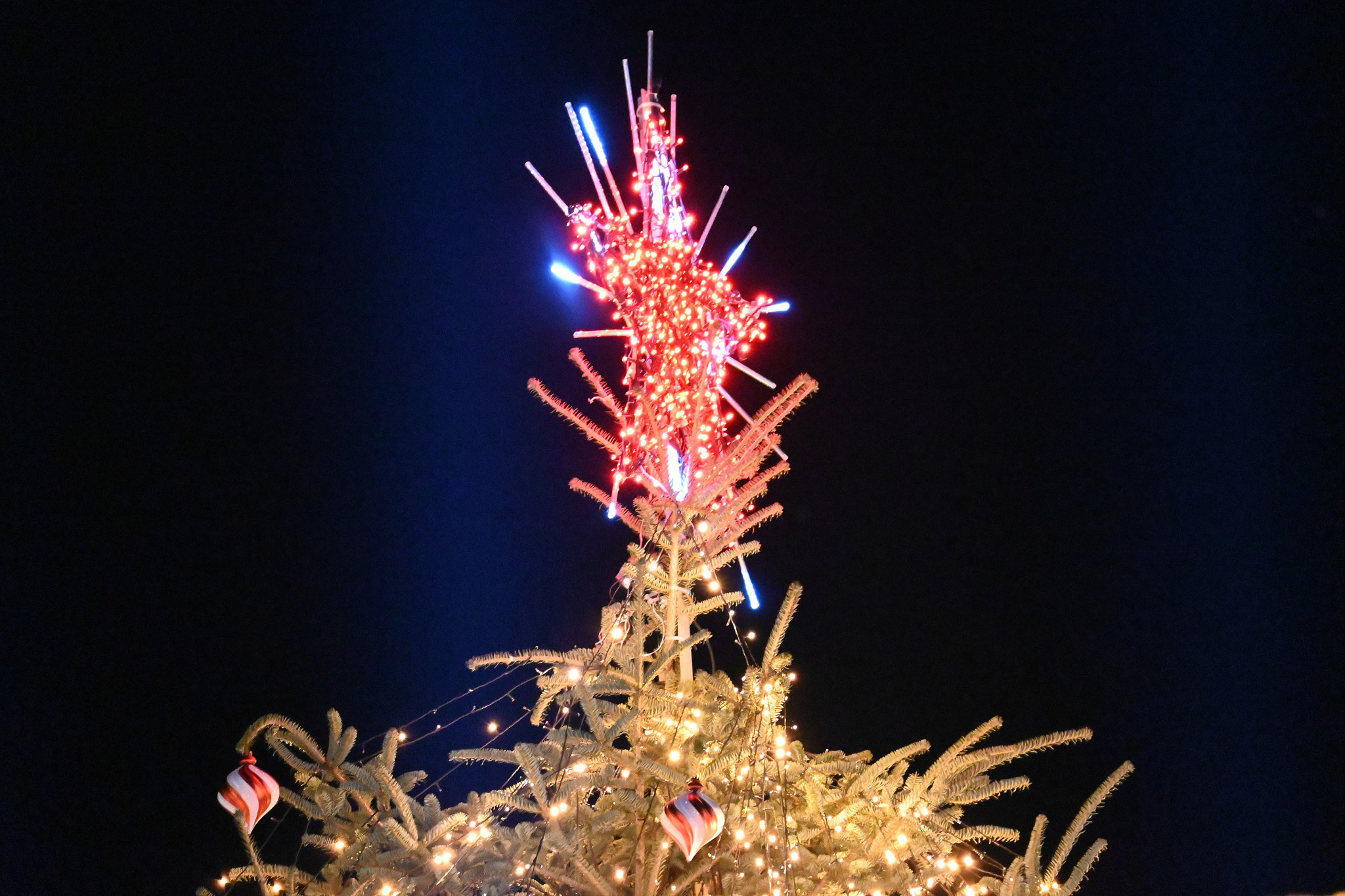 Στο Santa Claus Kingdom τα Χριστούγεννα γίνονται εμπειρία