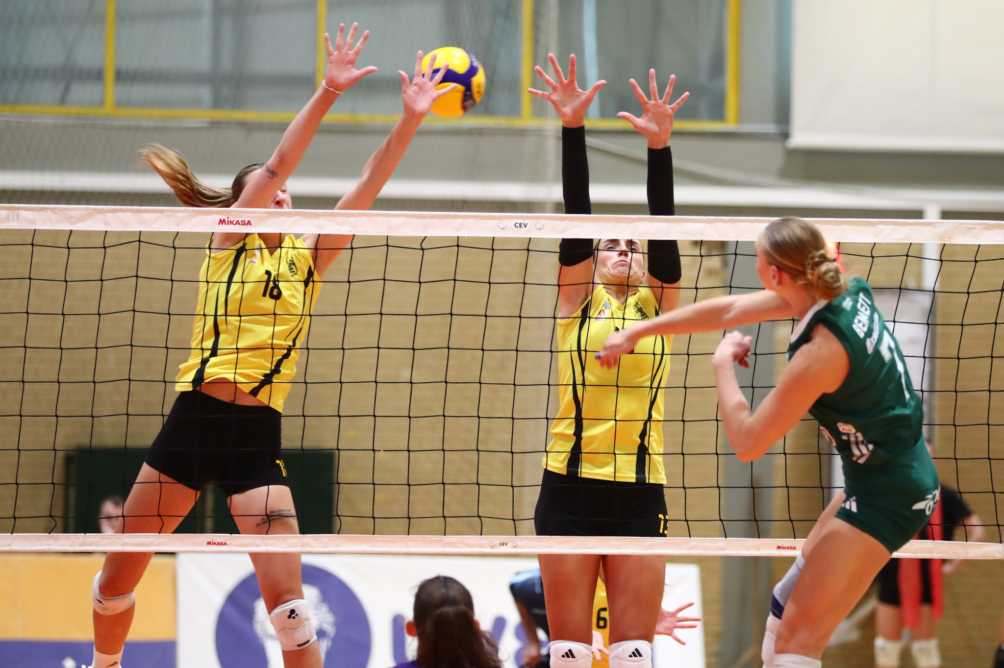 Επιστροφή στην αγωνιστική δράση με το νέο έτος για τη Volley League Γυναικών