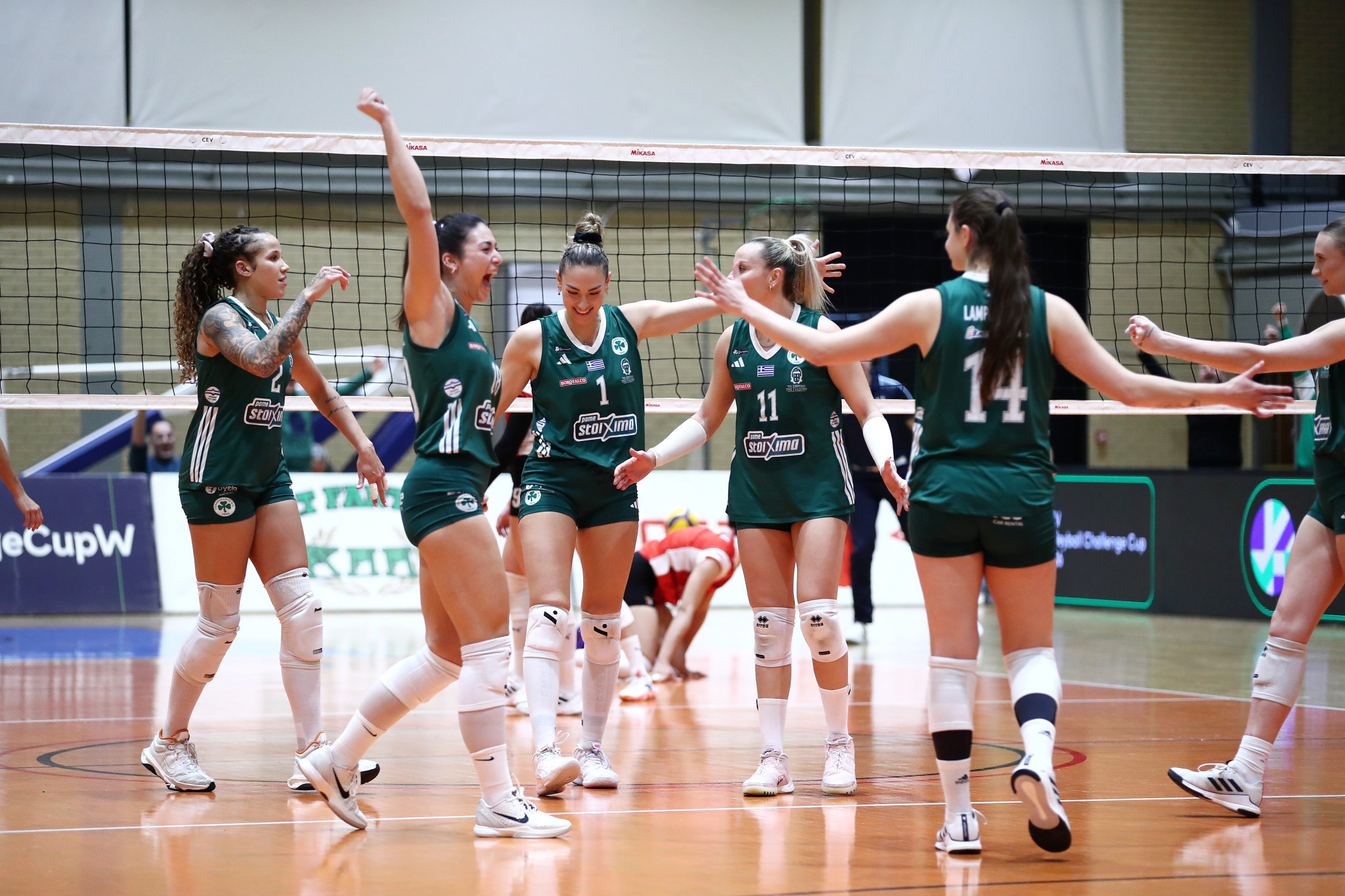 Ο Παναθηναϊκός πέρασε άνετα στα προημιτελικά του CEV Challenge Cup