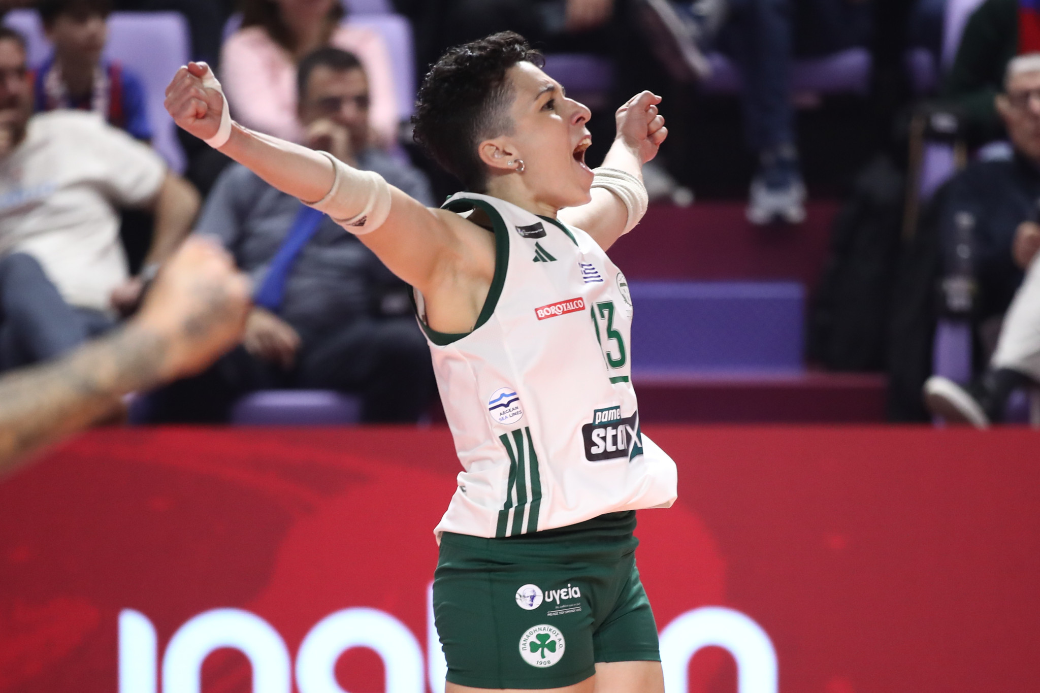 Πανιώνιος - Παναθηναϊκός: Τα highlights της πρόκρισης των «πράσινων» στον τελικό του CEV Challenge Cup