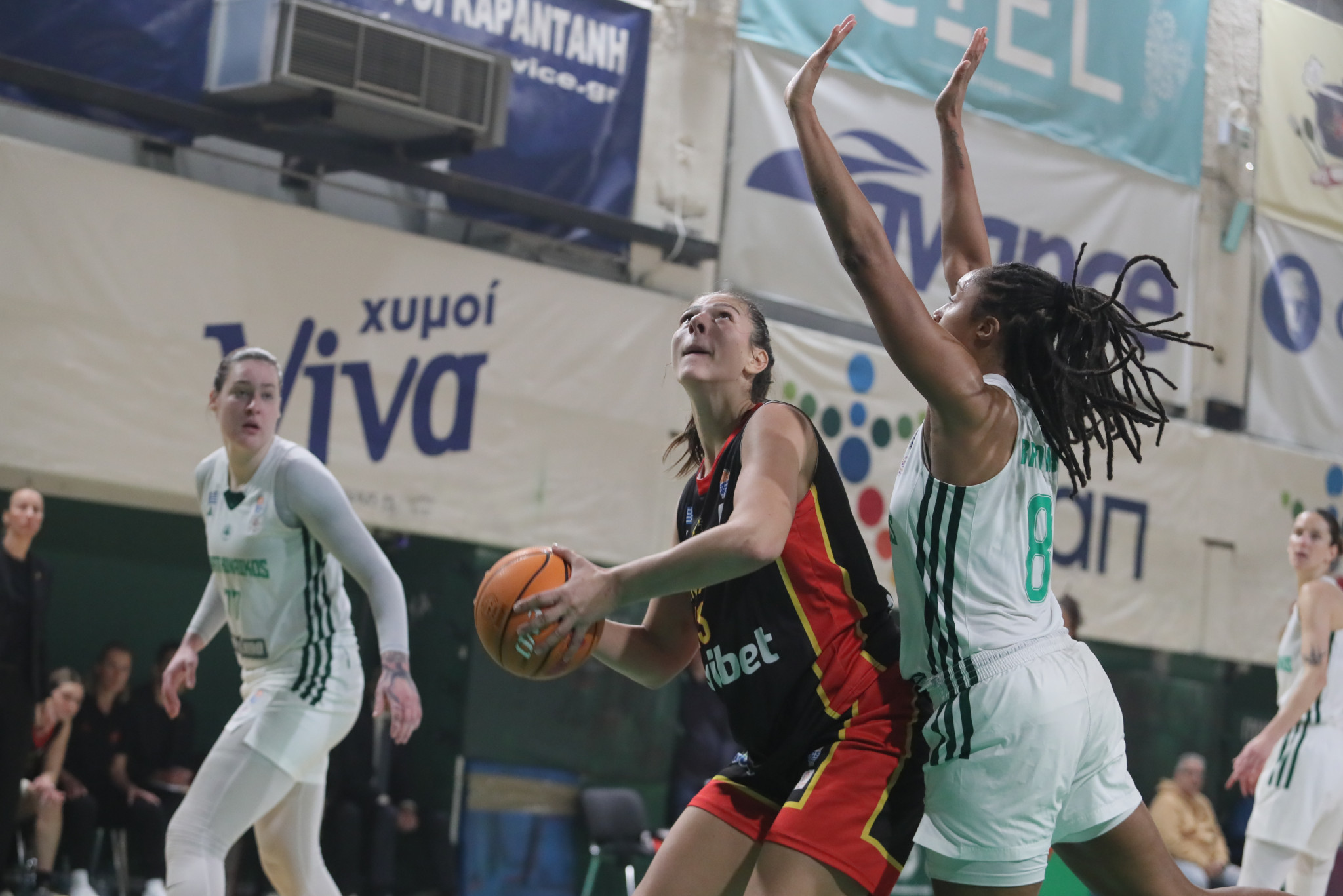 Πού θα δείτε τους αγώνες του Allwyn F4 Γυναικών της Καβάλας