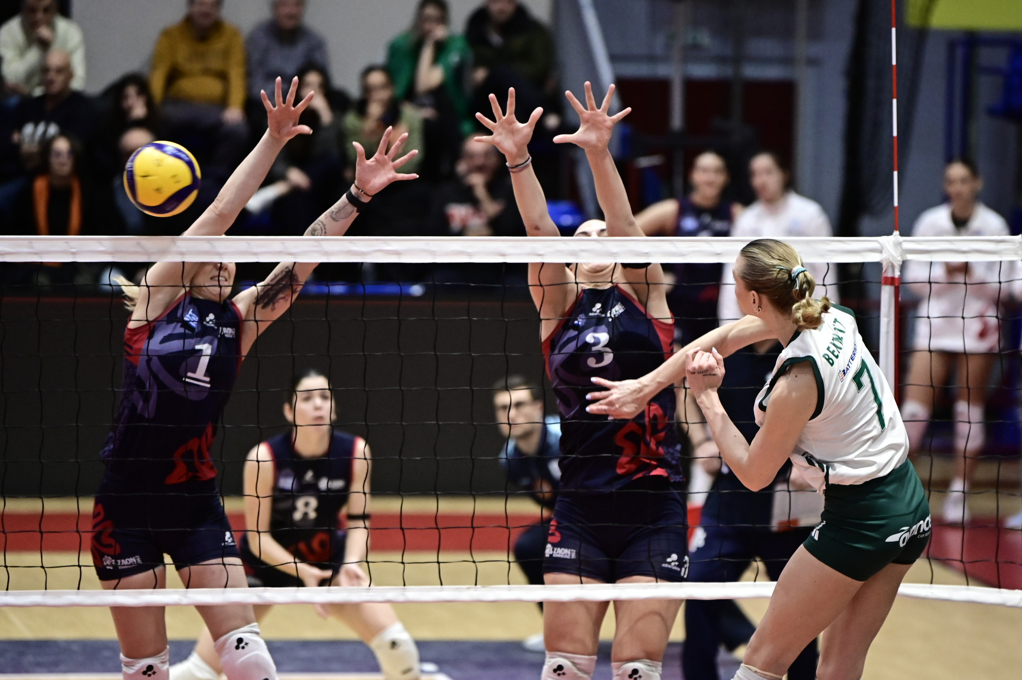 Κρατάει χρόνια αυτή η κολόνια: Όταν Παναθηναϊκός και ΖΑΟΝ μονοπωλούσαν τους τίτλους για μία δεκαετία