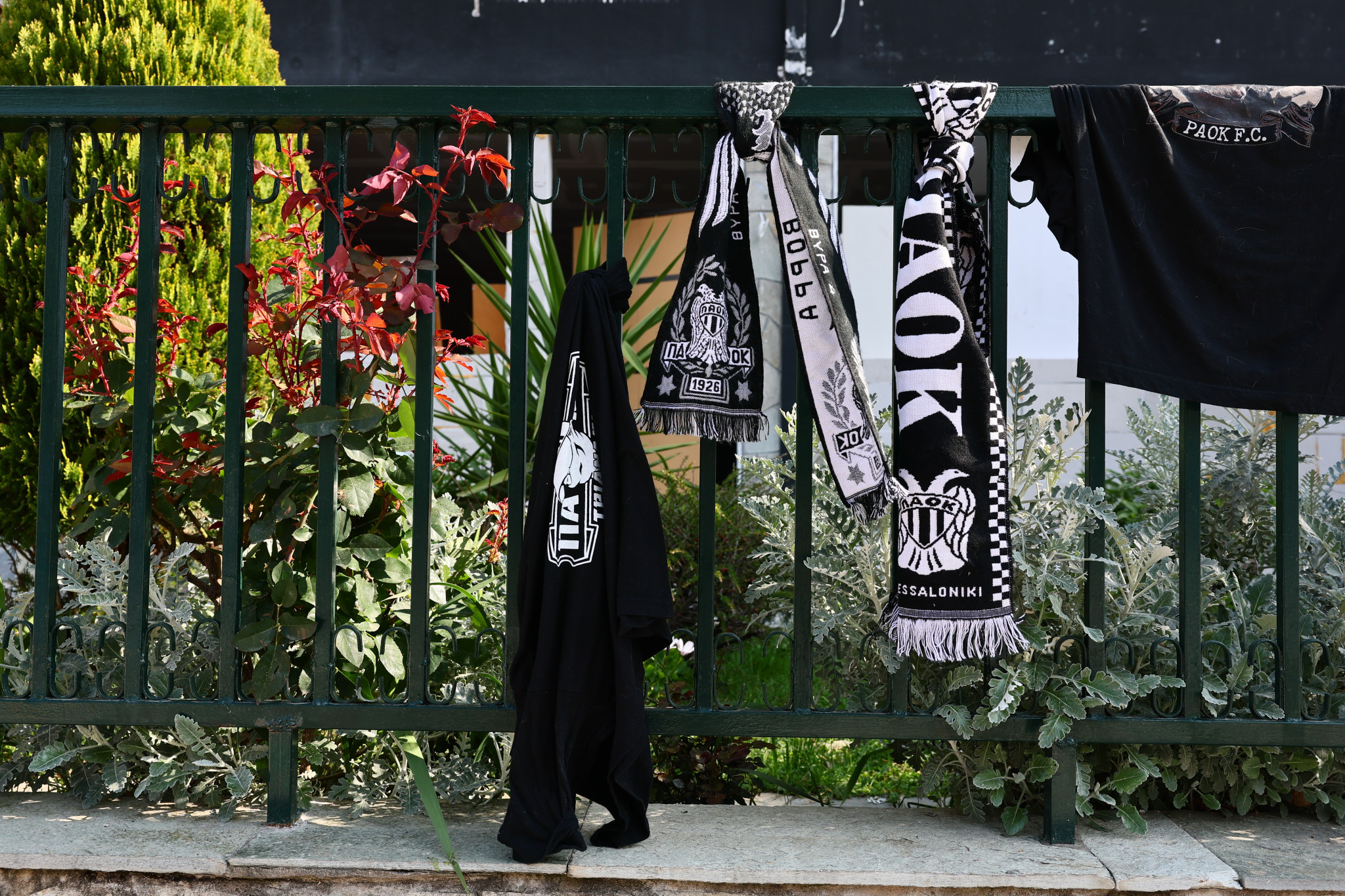 Προφυλακιστέος και ο δεύτερος φίλος του Κλεομένη που ήταν παρών στη δολοφονία του