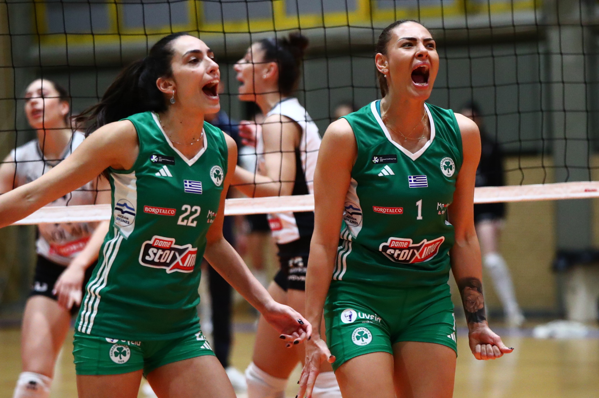 Αυτό είναι το πρόγραμμα των τελικών Παναθηναϊκός - ΖΑΟΝ στη Volley League γυναικών