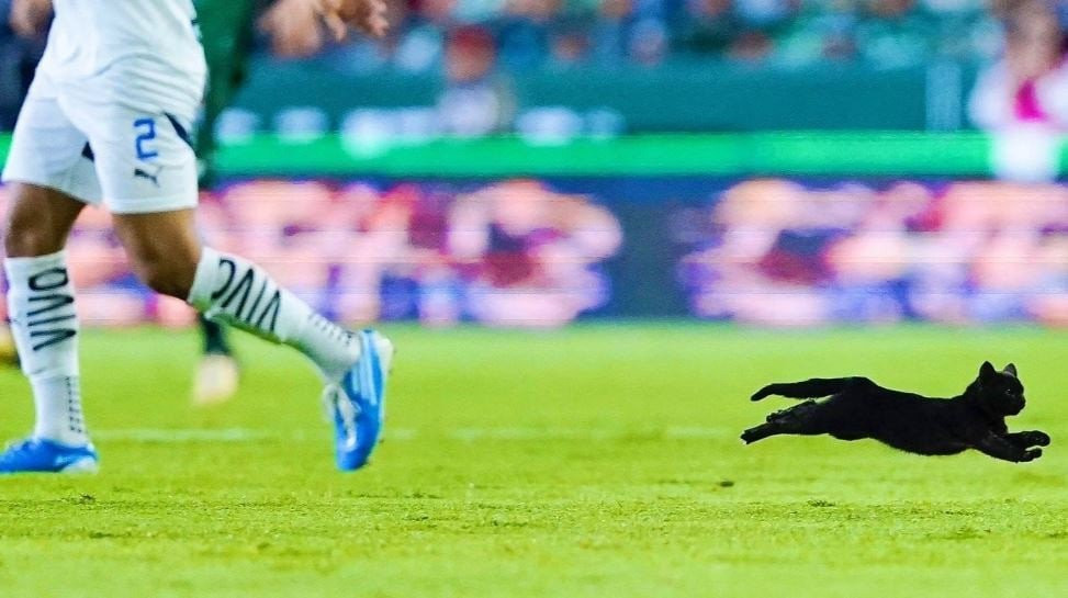 Μπήκε στο γήπεδο μαύρη γάτα, αποβλήθηκε ο Χάμες, τραυματίστηκε ο Ράμος (video)