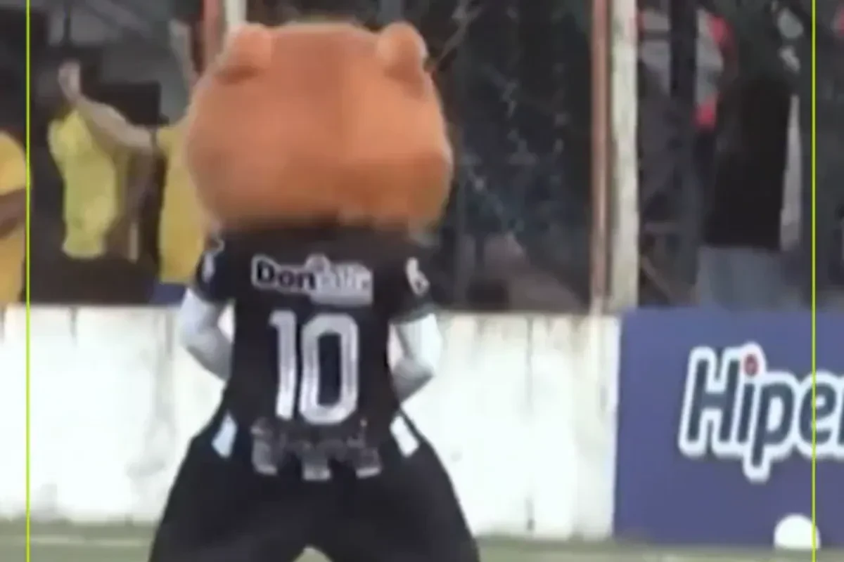 Απίθανο σκηνικό στη Βραζιλία: Μασκότ προκάλεσε, δέχτηκε επίθεση και... αποβλήθηκε (video)