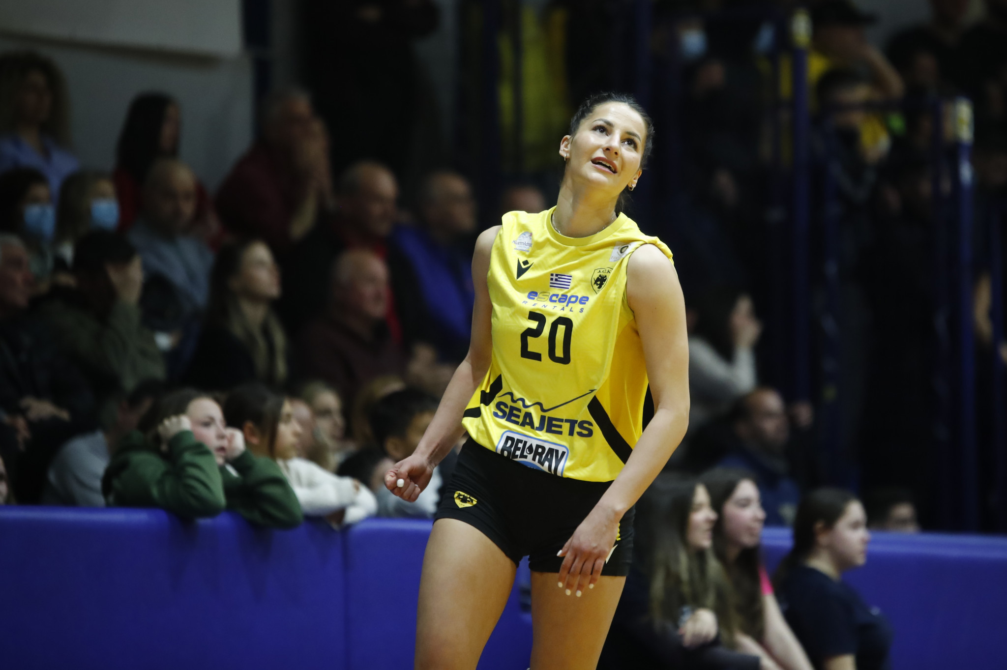 Η Κυπαρίσση αποχαιρέτησε την ΑΕΚ και ετοιμάζεται να ντυθεί στα... πράσινα