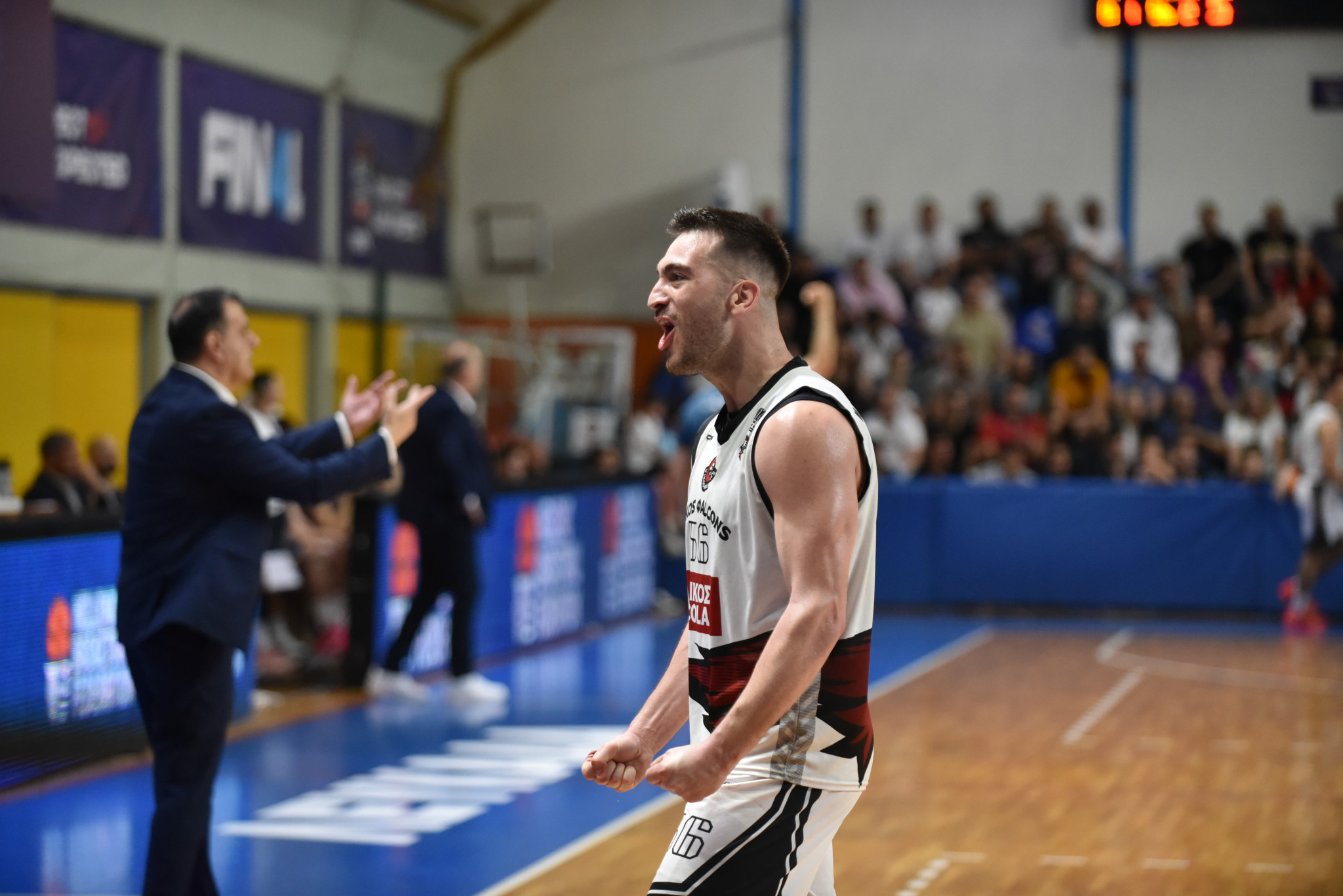 Βίκος Φalcons - Πρωτέας Βούλας: Τα highlights της πρόκρισης της ομάδας των Ιωαννίνων