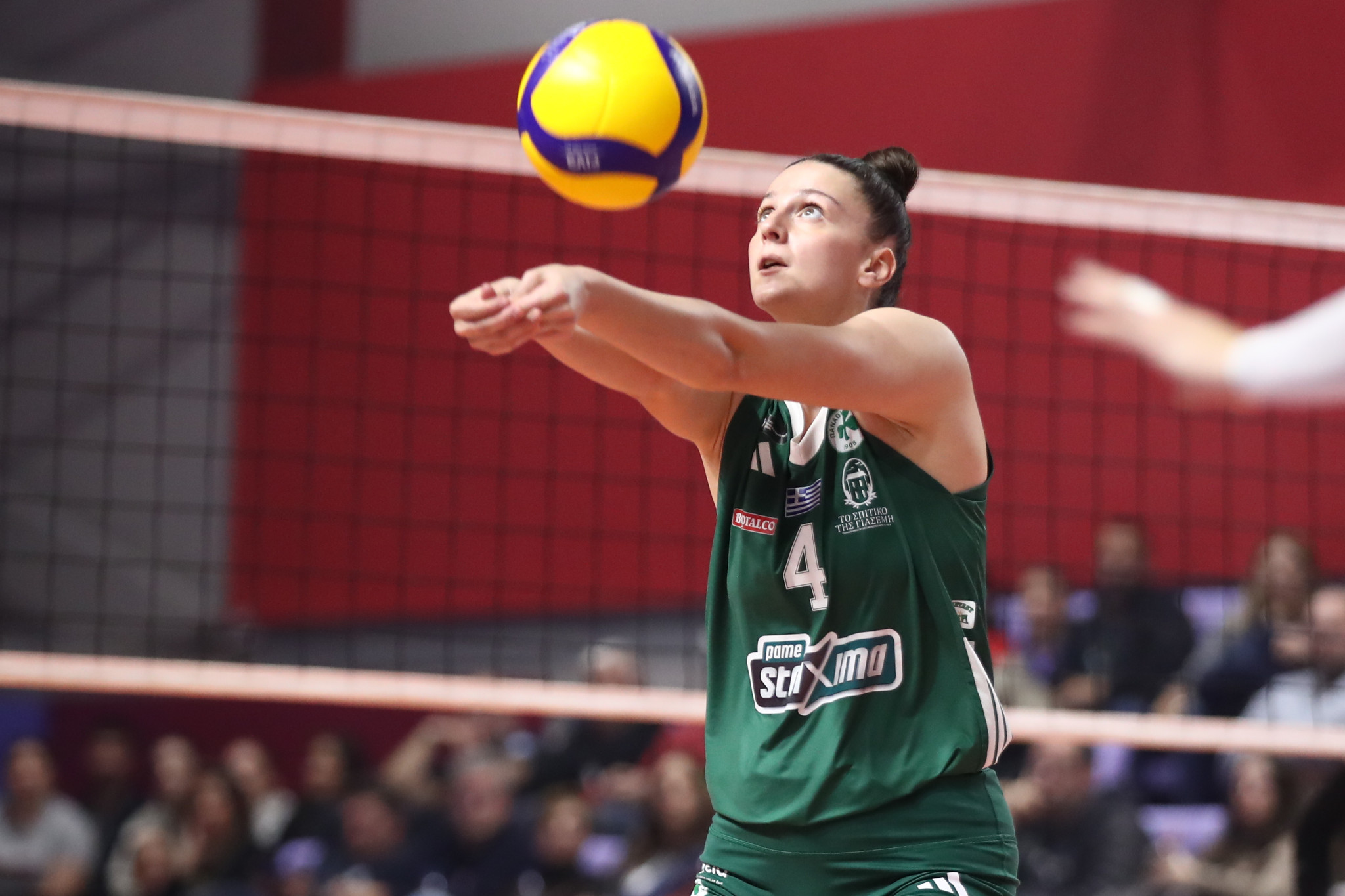 Από τον Παναθηναϊκό στον ΠΑΟΚ η Τάνη