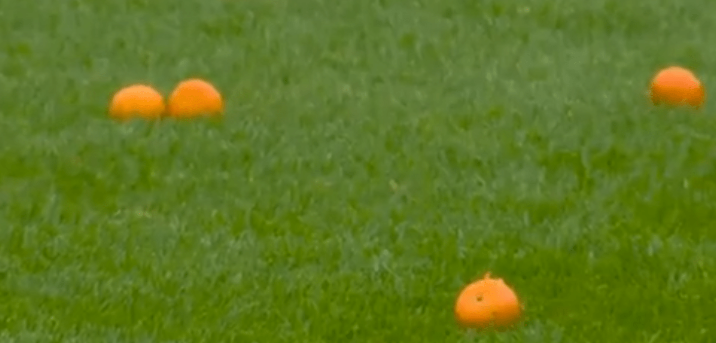 Απίστευτο σκηνικό στην Σκωτία: Οπαδοί της Σέλτικ πέταξαν μανταρίνια στον αγωνιστικό χώρο