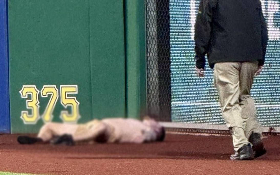 Σε κρίσιμη κατάσταση φίλαθλος που έπεσε από τις κερκίδες σε αγώνα μπέιζμπολ (video)