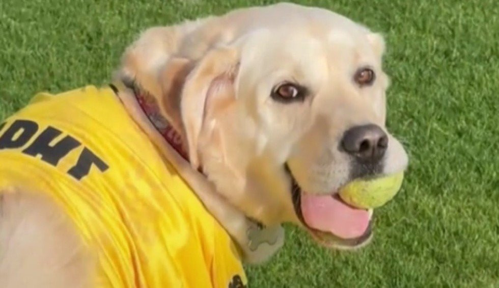 Ο viral και πιο πιστός οπαδός του Άρη σε μία απολαυστική συνέντευξη - Τι τρώει όταν κερδίσει η ομάδα του και πως αντιδρά στα γκολ (video)