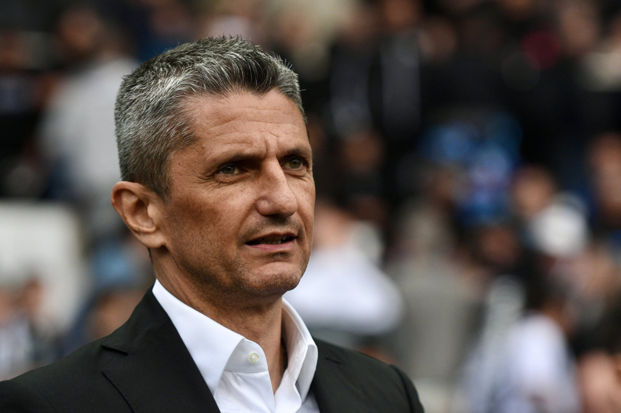 «Ο Λουτσέσκου είναι αποφασισμένος να συνεχίσει στον ΠΑΟΚ»