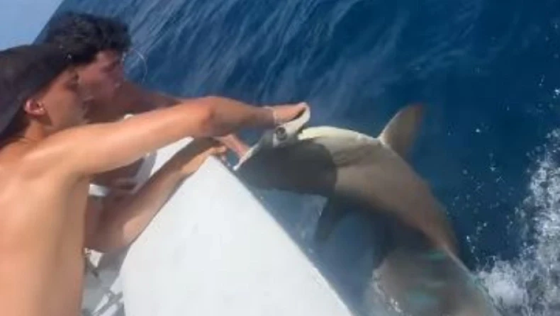 Οργή για τον Ζοάο Φέλιξ: Ψάρεψε απειλούμενο είδος καρχαρία (video)