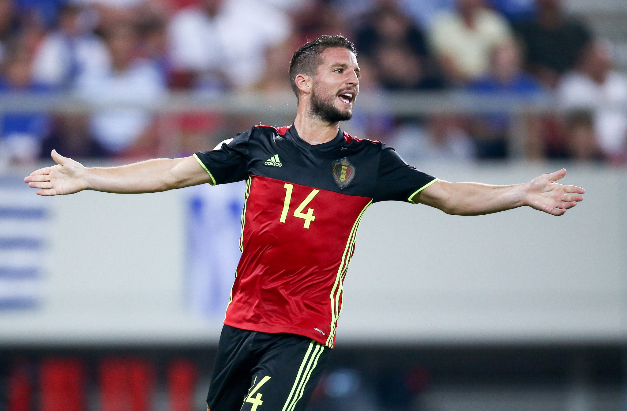 Αποσύρθηκε ο Ντρις Μέρτενς σε ηλικία 38 ετών