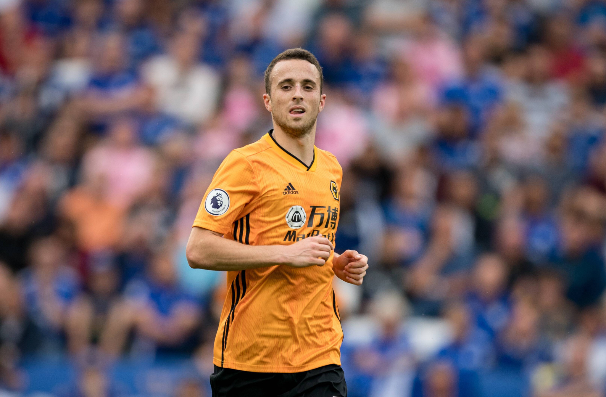 Το αντίο της Γουλβς στον Ζότα: «Λατρεύτηκες από οπαδούς και συμπαίκτες, θα σε θυμόμαστε για πάντα»