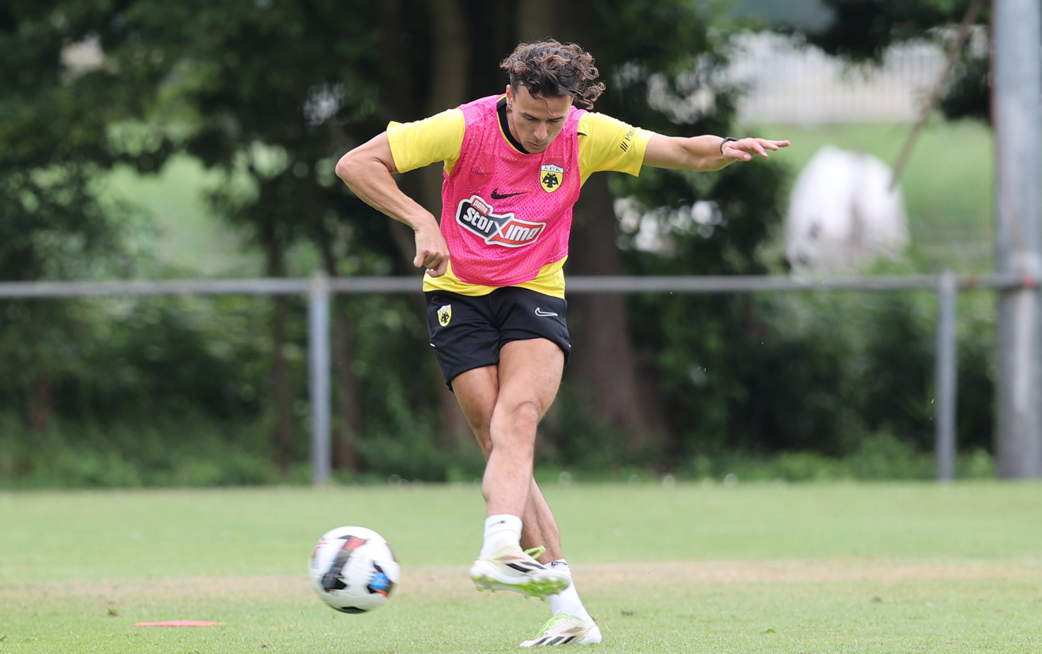 Ο Λιούμπιτσιτς πήρε άδεια και έφυγε για… γάμο!