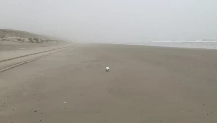 Ένα σουτ έστειλε τη μπάλα 640 χιλιόμετρα μακριά: Από τη Σκωτία έφθασε σε παραλία της Ολλανδίας!