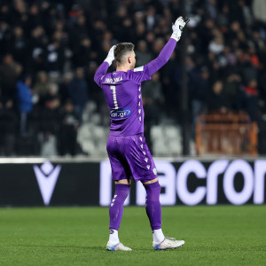 Μετρά αντίστροφα για την επιστροφή στη δράση ο Παβλένκα