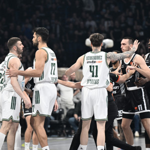 Θερμό επεισόδιο ανάμεσα σε Ρογκαβόπουλο και Λάκιτς - Αποβολή για τον Έλληνα φόργουορντ! (video)