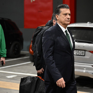 Παρθενόπουλος: «Στάθηκα στην ουρά ως όφειλα, γιατί να μην συμβαίνει το ίδιο και για τους υπόλοιπους φιλάθλους;»