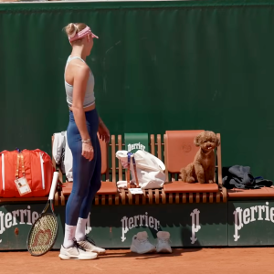 Το Roland Garros προσέλαβε την πρώτη... dogsitter για τα σκυλιά των επαγγελματιών τενιστών