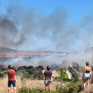 Φωτιά στα Σπάτα, κοντά στο προπονητικό κέντρο της ΑΕΚ! (photos)