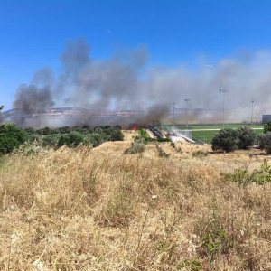 Σε ύφεση η φωτιά στα Σπάτα κοντά στο προπονητικό κέντρο της ΑΕΚ